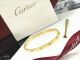 New Style Cartier Love Bracelet - SMALL MODEL (7)_th.jpg